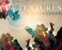 texturesphenotypecover