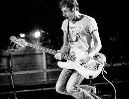 thezencircus c PN 13 home