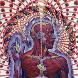 tool lateralus