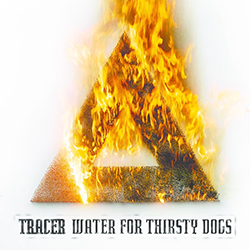 tracer w f t d 250px