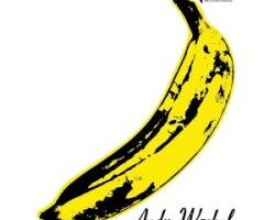 velvetunderground nico cover