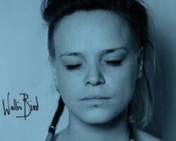 wallis bird cover
