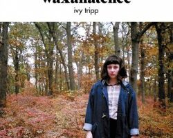 waxahatchee 608x608