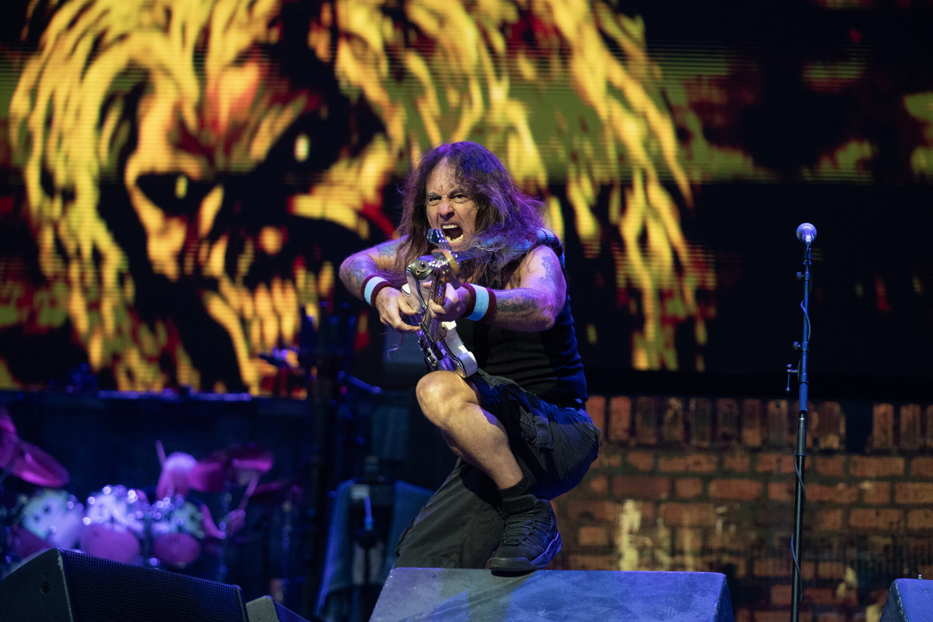 stampa iron maiden milano mathias marchioni 5