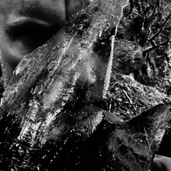 taake (1)
